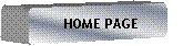 Elaborazione alternativa: HOME PAGE