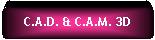 Elaborazione alternativa: C.A.D. & C.A.M. 3D