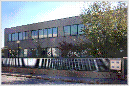 Casella di testo: 
