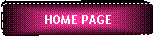 Elaborazione alternativa: HOME PAGE