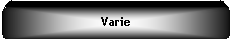Elaborazione alternativa: Varie
