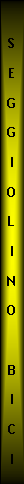 Casella di testo:  SEGGIOLINOBICI
